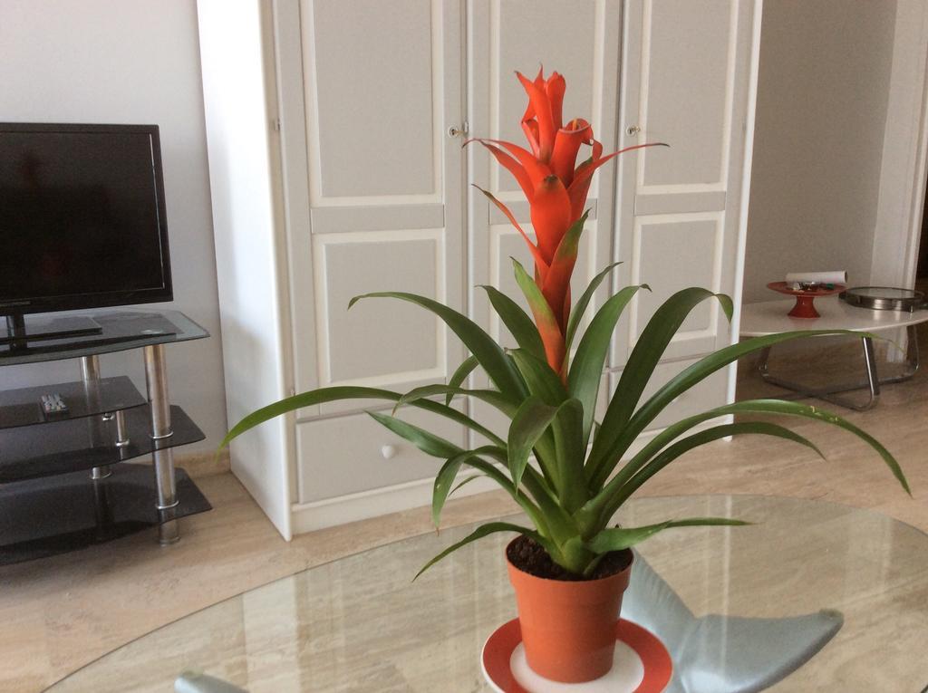 Appartement Dolce Vita Cagnes-sur-Mer Rum bild